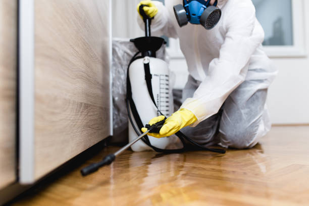 Best Pest Control for Homes  in Glenarden, MD