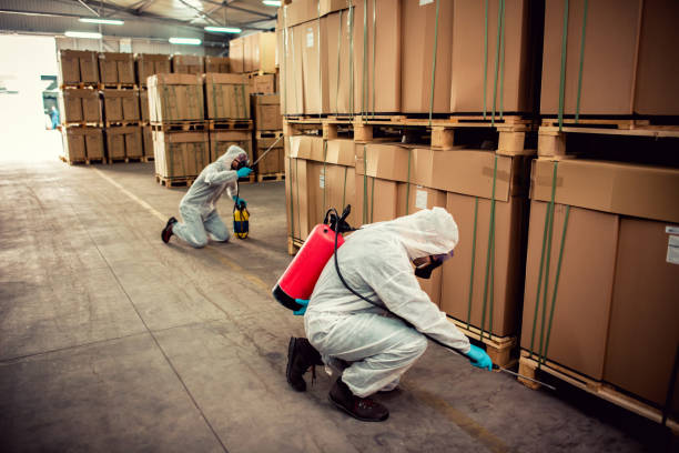Trusted Glenarden, MD Pest Control Experts