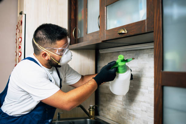  Glenarden, MD Pest Control Pros