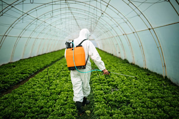 Best Pest Control Near Me  in Glenarden, MD