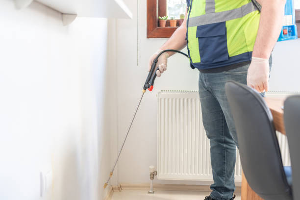 Best Termite Control Services  in Glenarden, MD