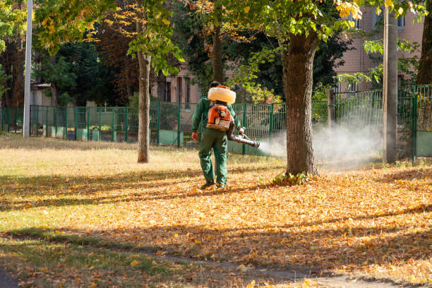 Best Pest Inspection Near Me  in Glenarden, MD