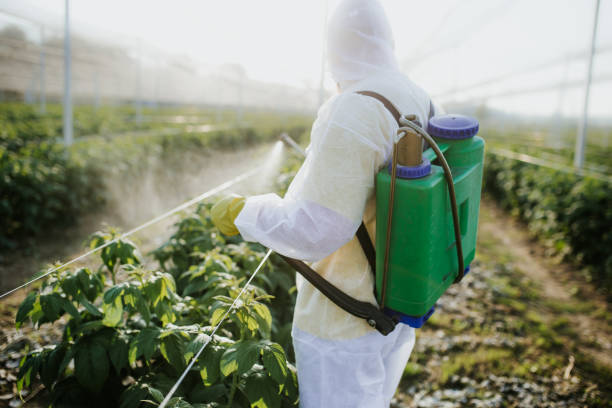 Best Best Pest Control Companies  in Glenarden, MD